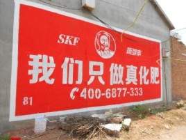 阆中刷墙广告”蕴含了时代命题