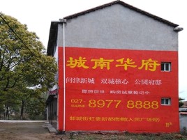 阆中百分之90的人都不了解的农村墙体广告