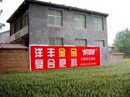 阆中如何让墙体广告展现最大化效果