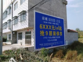阆中墙体广告质量分析