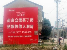 阆中墙体广告在乡镇、农村市场的媒体优势