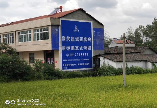 阆中决定墙体广告价格的因素有哪些?