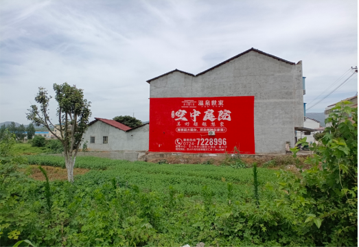 阆中做墙体广告的意义
