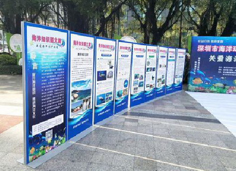 阆中KT板的种类和知识。